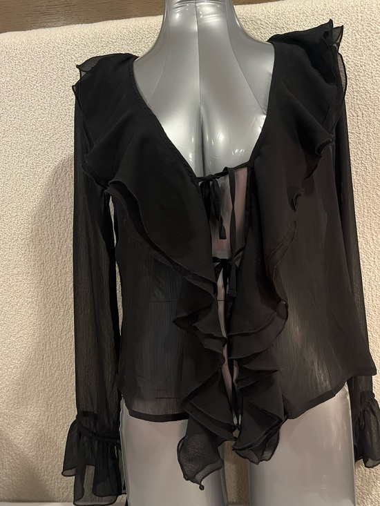 Altar'd State Tops - Altar'd State Black Sheer Ruffle Tie-Front Blouse